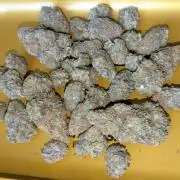 Ayahuasca purple/purple urkle/spacecooki