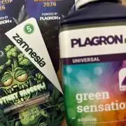 Eternity Grow Cup 2026