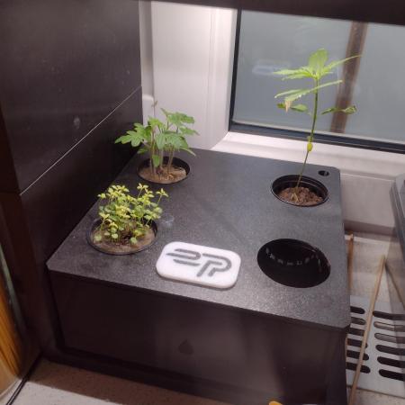 Ekoro:is it possible to grow on 20x20cm?
