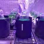 Visiting a Fairy Tale