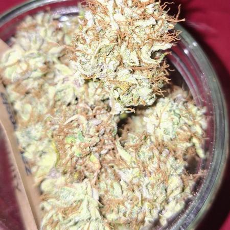 Auto purple couskush 2025