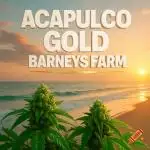 Acapulco Gold