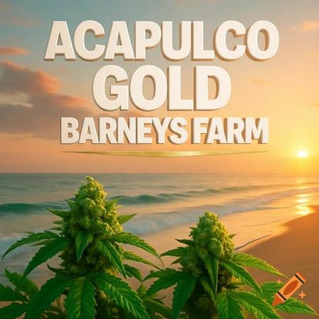 Acapulco Gold