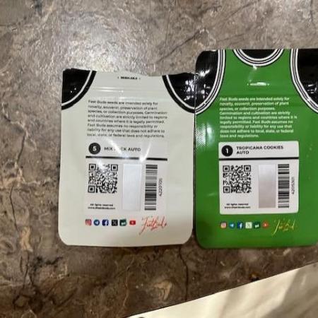 First Timer All Around!