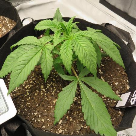 First Timer All Around!