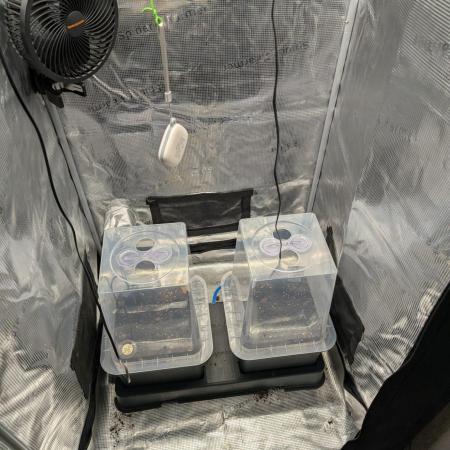 FastBuds//Autopot//Biotabs