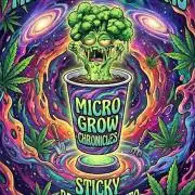 🥦Honey, I Shrunk the Broccoli! Micro