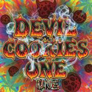 Devil Cookies One | USA Genetics 2026