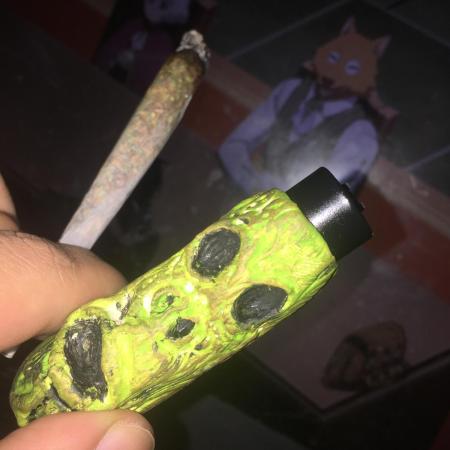 First grow outdoor + indoor | Biscotti