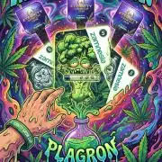 Sticky broccoli  🥦 Eternity Cup 2026