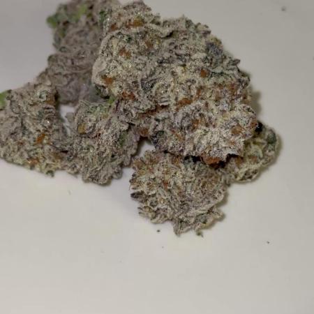 Girls love big tents