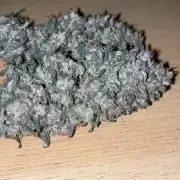 Dark Nectar , King Cartier