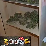 Stealth Grow Schrank