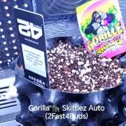 Stealth Micro Grow Schrank
