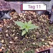 Stealth Micro Grow Schrank
