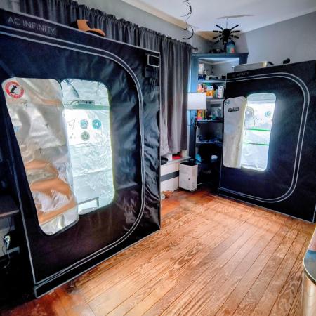 Trippy Trav's Cannabis