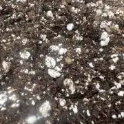 Gorilla Z- FastBuds420