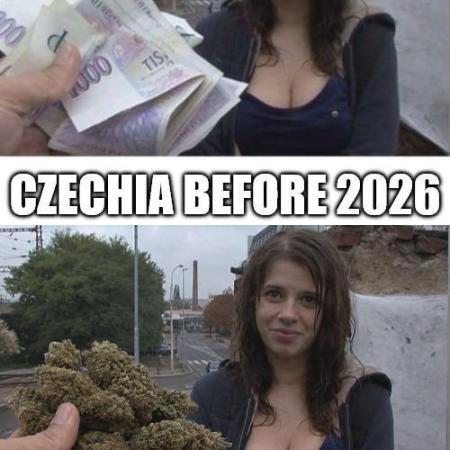 2fast4buds meme contest