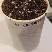 Druhý Mušketýr Round 1.