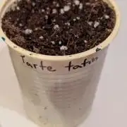 První Mušketýr Round 1.