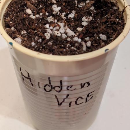 Třetí Mušketýr Round 1.