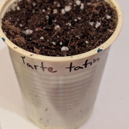 První Mušketýr Round 1.