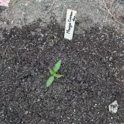 Exotika po mém.