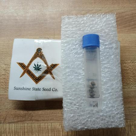 South Florida Sunshine