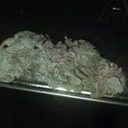 Tropicana cherry