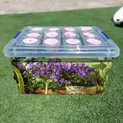 Hidroponics Black Sadow & Moon Light