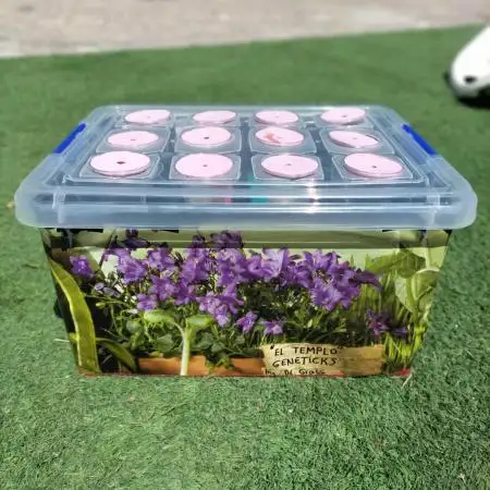 Hidroponics Black Sadow & Moon Light