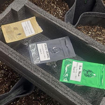 Selection from Robin hood & square one