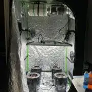 DWC/4x4/480w LED/Mephisto