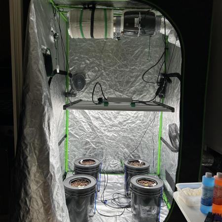 DWC/4x4/480w LED/Mephisto