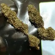 Milky Way F1