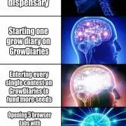 Memes
