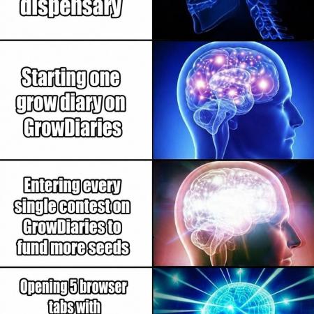 Memes