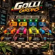 Golli Racing | #02 – Zingatsu