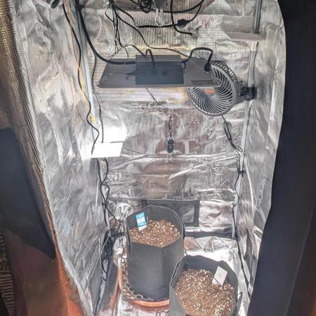 Auto Gorilla Glue#4 Indoor