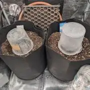 Auto Gorilla Glue#4 Indoor