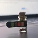 SBCH (Speedrun Seeds)