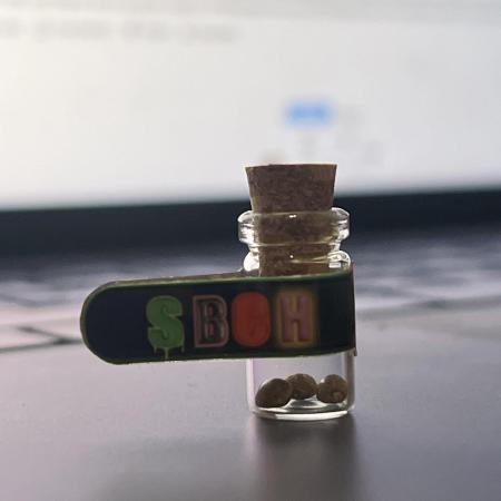 SBCH (Speedrun Seeds)