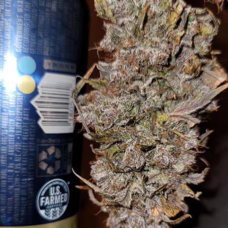 Guava Sundae 🍨 🍈