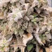 Banana Cherry Cookies 🍪 🍒 🍌