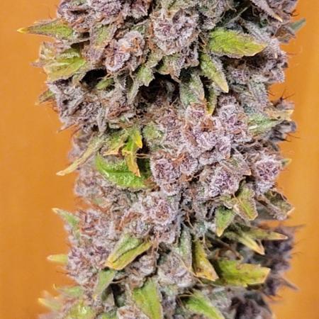 Lemon Cherry Cookies 🍋 🍒 🍪