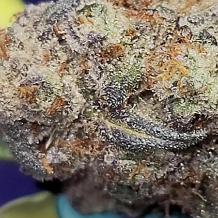 Mango Frost ❄️