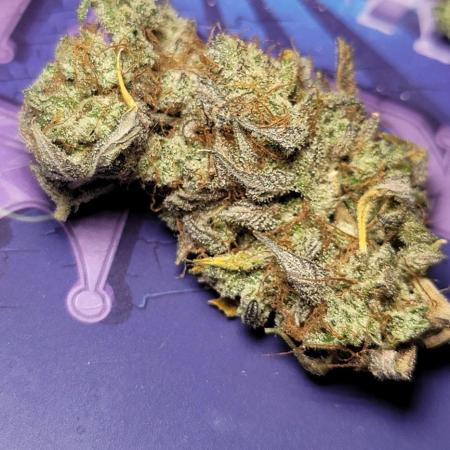 Mendo Cherry Cookies 🍪 🍒