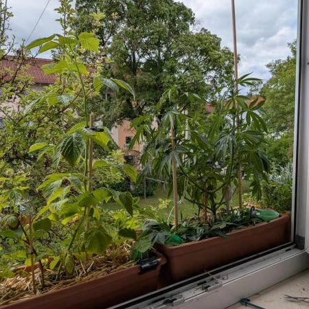 Fensterbank Projekt