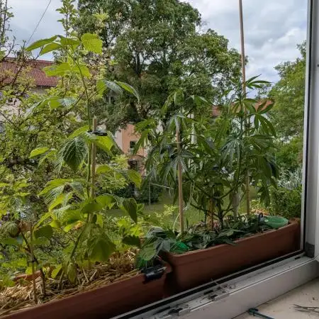 Fensterbank Projekt