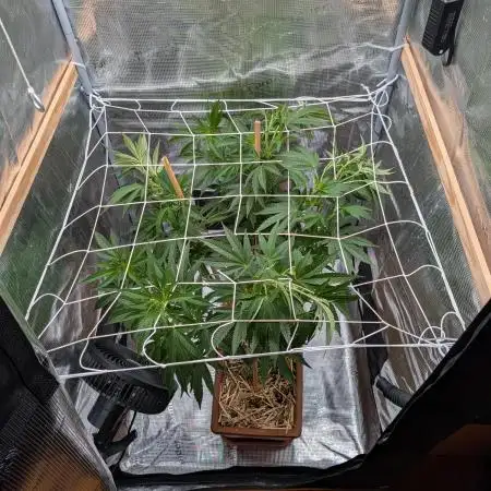 Fensterbank Projekt